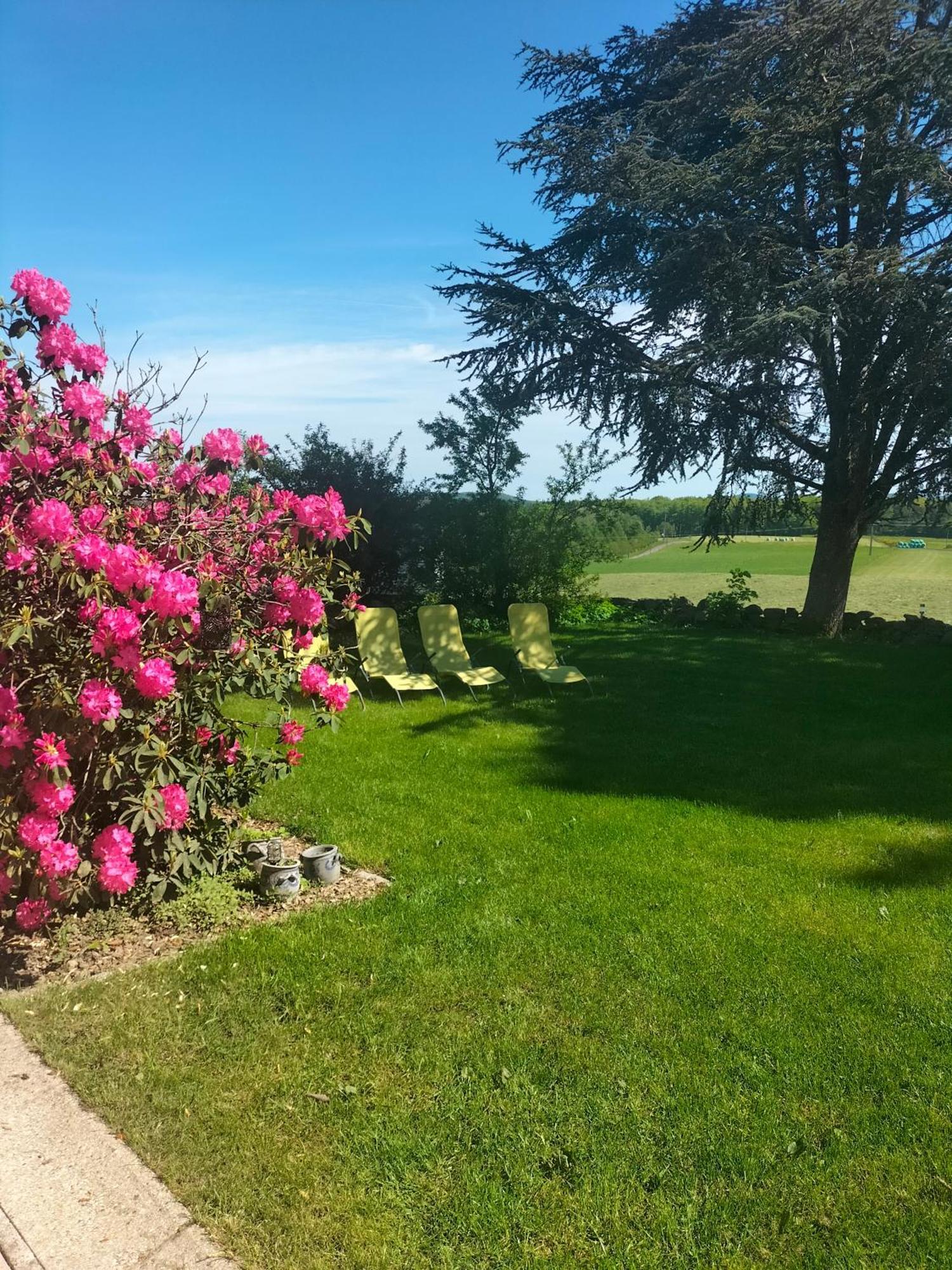 Gite Belle Fleur 6 Personnes- Vosges Saint-Nabord Luaran gambar